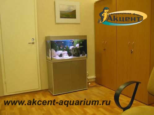 Акцент-аквариум,аквариум 120 литров прямоугольный в офисе